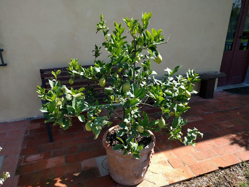 Il Torriano Bauernhof